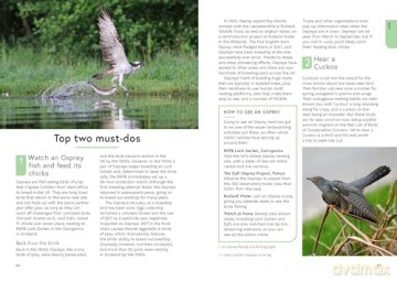 RSPB Birding Year: Seasonal tips and activities to learn about bird behaviour - Dominic Couzens [KSIĄŻKA]