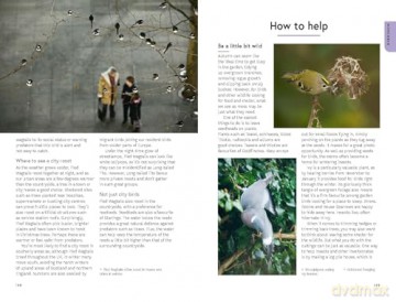 RSPB Birding Year: Seasonal tips and activities to learn about bird behaviour - Dominic Couzens [KSIĄŻKA]
