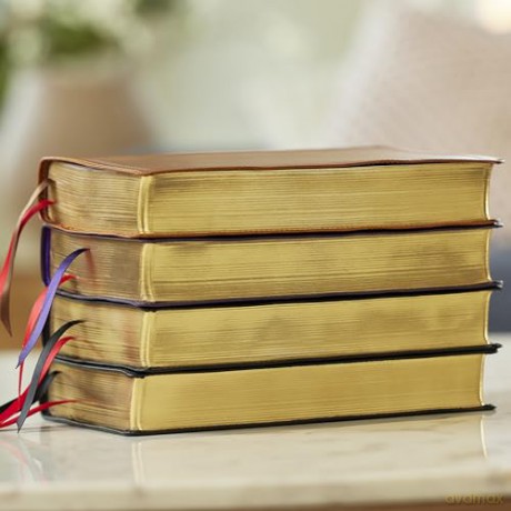 RSV Personal Size Bible with Cross References, Brown Leathersoft, (Sovereign Collection) - Thomas Nelson [KSIĄŻKA]