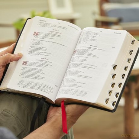 RSV Personal Size Bible with Cross References, Brown Leathersoft, Thumb Indexed, (Sovereign Collection) - Thomas Nelson [KSIĄŻKA]