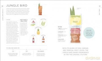 Rum A Tasting Course: A Flavour-Focused Approach to the World of Rum - Ian Burrell [KSIĄŻKA]