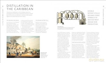 Rum A Tasting Course: A Flavour-Focused Approach to the World of Rum - Ian Burrell [KSIĄŻKA]
