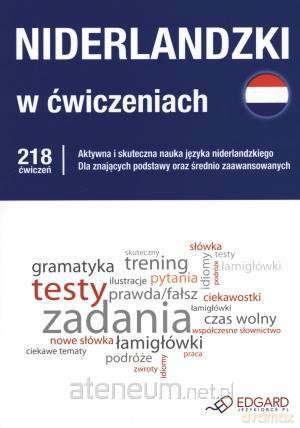 Niderlandzki w ćwiczeniach [KSĄŻKA]