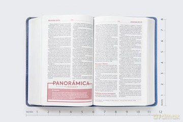 RVR60, Biblia de Estudio para Jóvenes, Leathersoft, Azul, Palabras de Jesús en Rojo, Comfort Print: Reina-Valera 1960, azul, Leathersoft, Comfort Print, palabras de Jesús en rojo - Vida [KSIĄŻKA]