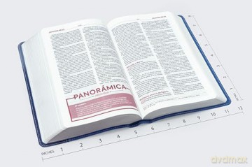 RVR60, Biblia de Estudio para Jóvenes, Leathersoft, Azul, Palabras de Jesús en Rojo, Comfort Print: Reina-Valera 1960, azul, Leathersoft, Comfort Print, palabras de Jesús en rojo - Vida [KSIĄŻKA]