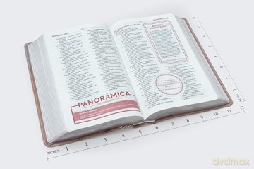 RVR60, Biblia de Estudio para Jóvenes, Leathersoft, Oro Rosa, Palabras de Jesús en Rojo, Comfort Print: Reina-Valera 1960, Estudio para jóvenes, Oro Rosa, Leathersoft, Comfort Print - Vida [KSIĄŻKA]