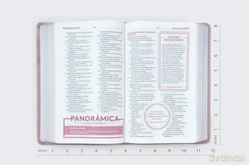 RVR60, Biblia de Estudio para Jóvenes, Leathersoft, Oro Rosa, Palabras de Jesús en Rojo, Comfort Print: Reina-Valera 1960, Estudio para jóvenes, Oro Rosa, Leathersoft, Comfort Print - Vida [KSIĄŻKA]