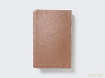 RVR60, Biblia de Estudio para Jóvenes, Leathersoft, Oro Rosa, Palabras de Jesús en Rojo, Comfort Print: Reina-Valera 1960, Estudio para jóvenes, Oro Rosa, Leathersoft, Comfort Print - Vida [KSIĄŻKA]
