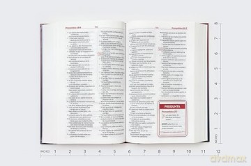 RVR60, Biblia de Estudio para Jóvenes, Tapa Dura, Palabras de Jesús en Rojo, Comfort Print: Reina-Valera 1960, Estudio para jóvenes, roja, Comfort Print - Vida [KSIĄŻKA]