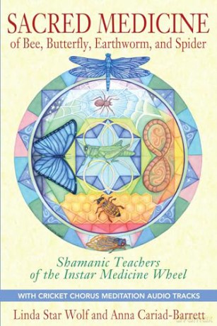 Sacred Medicine of Bee, Butterfly, Earthworm, and Spider: Unexpected Teachers of the Instar Medicine Wheel: Shamanic Teachers of the Instar Medicine Wheel - Linda Star Wolf [KSIĄŻKA]