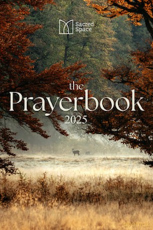 Sacred Space - the Prayerbook 2025 - The Irish Jesuits [KSIĄŻKA]