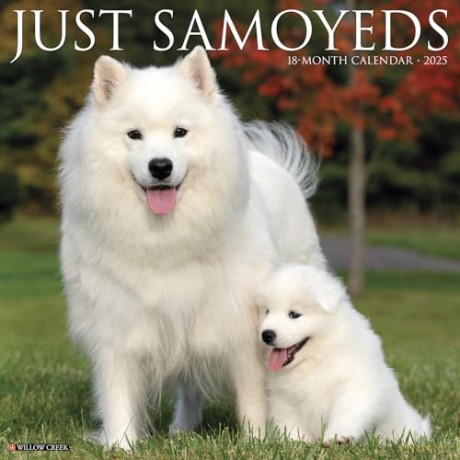 Samoyeds 2025 Wall [KSIĄŻKA]