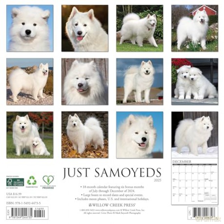 Samoyeds 2025 Wall [KSIĄŻKA]