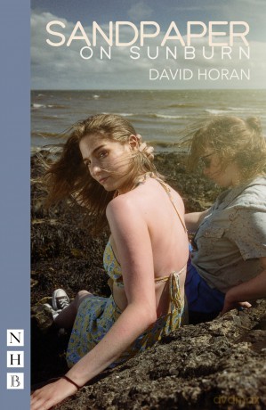 Sandpaper on Sunburn (NHB Modern Play) (NHB Modern Plays) - David Horan [KSIĄŻKA]