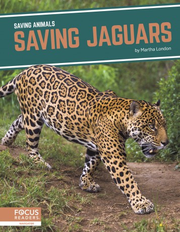 Saving Jaguars (Saving Animals) - Martha London [KSIĄŻKA]