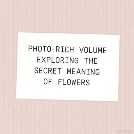 Say It with Flowers: Notes from Real People and the Bouquets They Inspired - Kelsie Hayes [KSIĄŻKA]