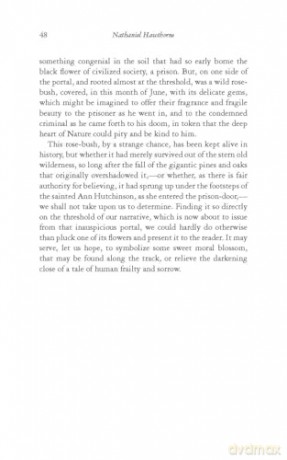 Scarlet Letter (Thrift Editions) - Nathaniel Hawthorne [KSIĄŻKA]
