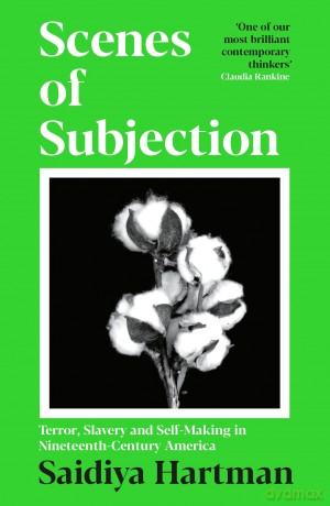 Scenes of Subjection: Terror, Slavery and Self-Making in Nineteenth Century America - Saidiya Hartman [KSIĄŻKA]