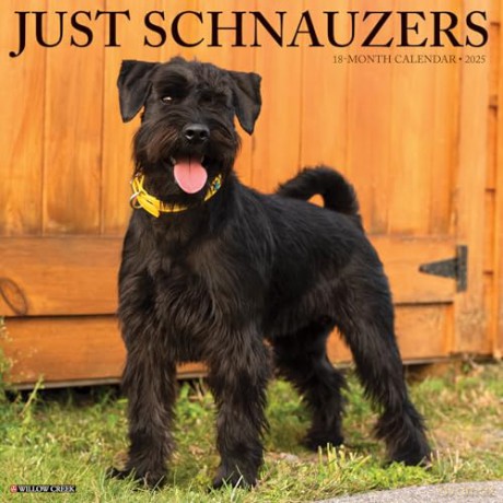 Schnauzers 2025 Wall [KSIĄŻKA]