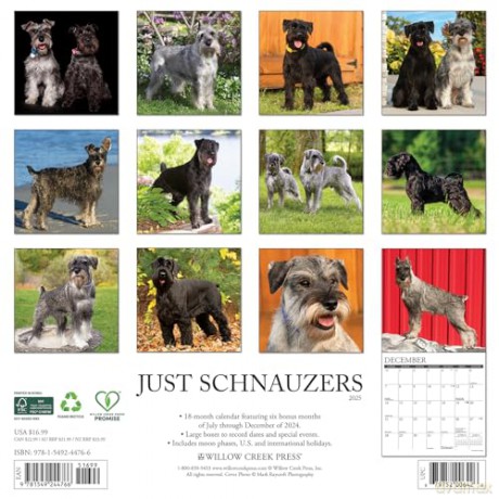 Schnauzers 2025 Wall [KSIĄŻKA]