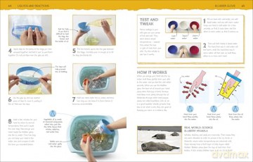 Science Activity Lab: Fantastic Projects for Young Scientists (DK Activity Lab) - Robert Winston [KSIĄŻKA]