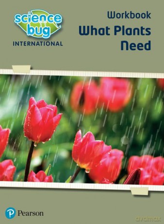 Science Bug: What plants need Workbook - Deborah Herridge [KSIĄŻKA]