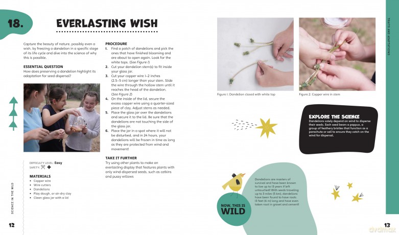 Science in the Wild: 52 Fun Projects and Activities to Explore, Discover, and Learn from Nature - Dr. Erica L. Colón [KSIĄŻKA]