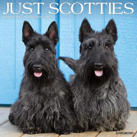 Scotties 2025 Wall [KSIĄŻKA]