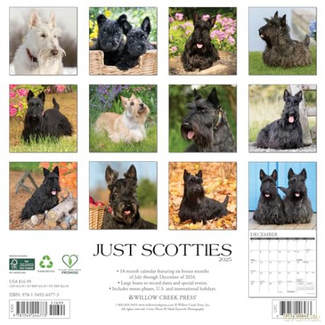 Scotties 2025 Wall [KSIĄŻKA]