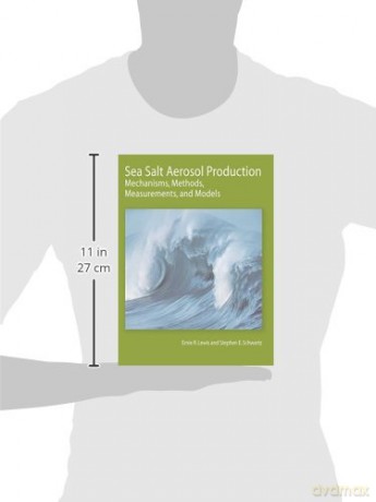 Sea Salt Aerosol Production: Mechanisms, Methods, Measurements, and Models: 152 (Geophysical Monograph Series) - Ernie R. Lewis [KSIĄŻKA]