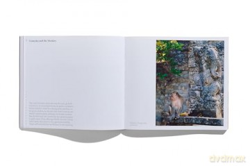 Sean Palfrey: Wander (Sean Palfrey Photography Series) - Sean Palfrey [KSIĄŻKA]