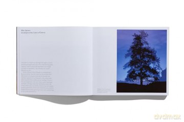 Sean Palfrey: Wander (Sean Palfrey Photography Series) - Sean Palfrey [KSIĄŻKA]