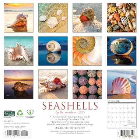 Seashells 2025 Wall [KSIĄŻKA]