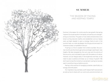 Seasons of Growth: A Journal for Well-Being Inspired by Trees - Marcus Bridgewater [KSIĄŻKA]