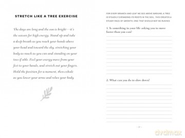 Seasons of Growth: A Journal for Well-Being Inspired by Trees - Marcus Bridgewater [KSIĄŻKA]