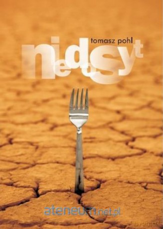 Niedosyt [KSĄŻKA]