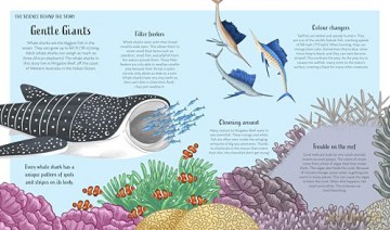 Secrets of the Ocean: 15 Bedtime Stories Inspired by Nature (Nature Bedtime Stories) - Alicia Klepeis [KSIĄŻKA]