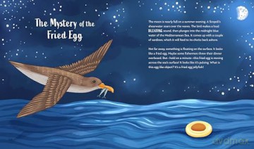 Secrets of the Ocean: 15 Bedtime Stories Inspired by Nature (Nature Bedtime Stories) - Alicia Klepeis [KSIĄŻKA]