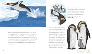 Secrets of the Ocean: 15 Bedtime Stories Inspired by Nature (Nature Bedtime Stories) - Alicia Klepeis [KSIĄŻKA]