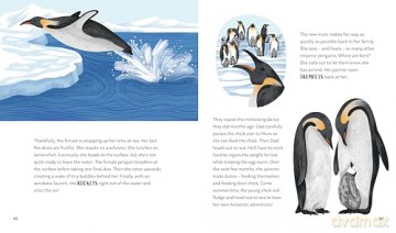Secrets of the Ocean: 15 Bedtime Stories Inspired by Nature: 2 (Nature Bedtime Stories, 2) - Alicia Klepeis [KSIĄŻKA]