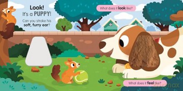 Sensory Pets (Baby Sensory Book) [KSIĄŻKA]