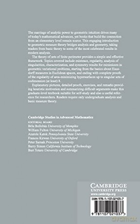 Sets of Finite Perimeter and Geometric Variational Problems: An Introduction to Geometric Measure Theory: 135 (Cambridge Studies in Advanced Mathematics, Series Number 135) - Francesco Maggi [KSIĄŻKA]