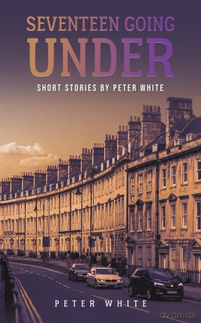 Seventeen Going Under: Short Stories by Peter White - Peter White [KSIĄŻKA]