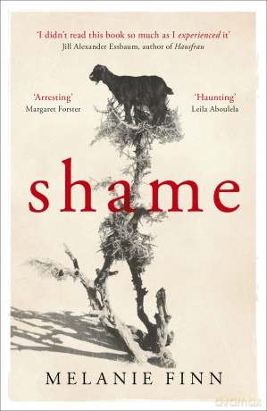 Shame - Melanie Finn [KSIĄŻKA]