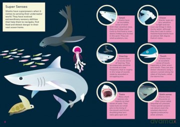 Shark - Hunter of the Deep (Awesome 3D Wall Art) - Sheridan Parker [KSIĄŻKA]