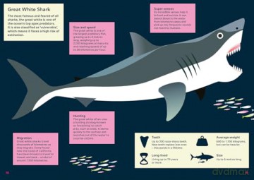 Shark - Hunter of the Deep (Awesome 3D Wall Art) - Sheridan Parker [KSIĄŻKA]