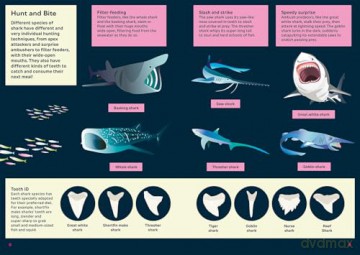 Shark - Hunter of the Deep (Awesome 3D Wall Art) - Sheridan Parker [KSIĄŻKA]