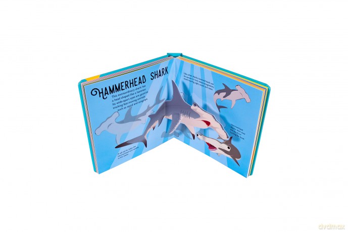 Sharks (Amazing pop-ups) - David Hawcock [KSIĄŻKA]