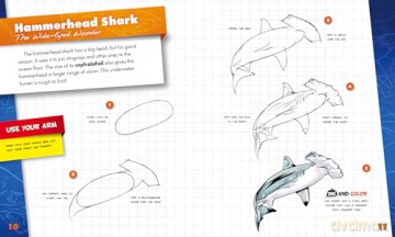 Sharks (You Can Draw It!) - Maggie Rosier [KSIĄŻKA]