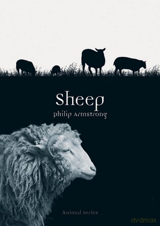 Sheep (Animal) - Philip Armstrong [KSIĄŻKA]